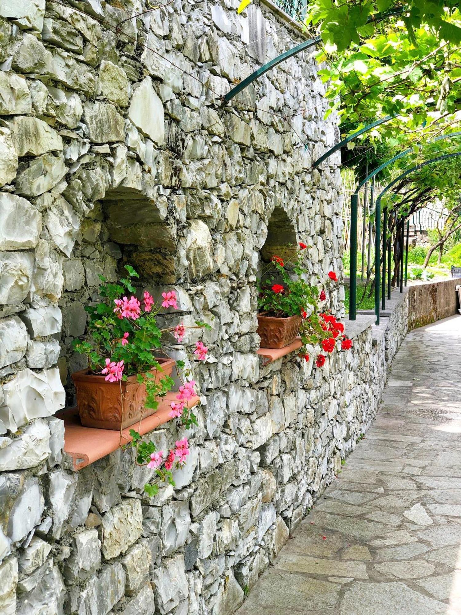 Hotel Villa Edera & La Torretta Moneglia Exteriér fotografie